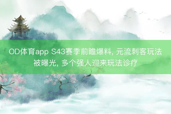 OD体育app S43赛季前瞻爆料, 元流刺客玩法被曝光, 多个强人迎来玩法诊疗