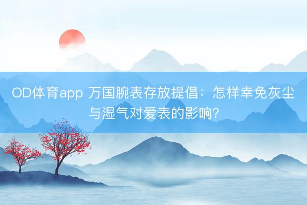 OD体育app 万国腕表存放提倡：怎样幸免灰尘与湿气对爱表的影响？