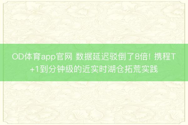 OD体育app官网 数据延迟驳倒了8倍! 携程T+1到分钟级的近实时湖仓拓荒实践