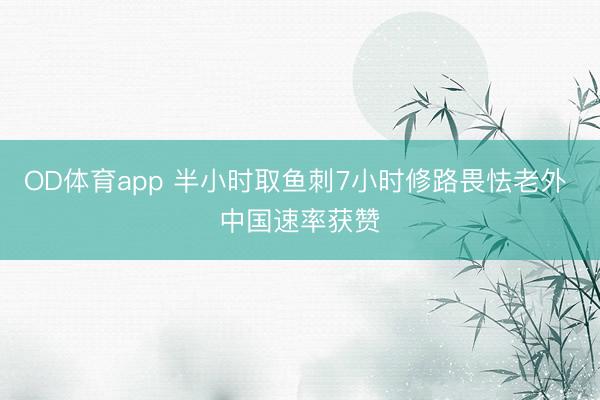 OD体育app 半小时取鱼刺7小时修路畏怯老外 中国速率获赞