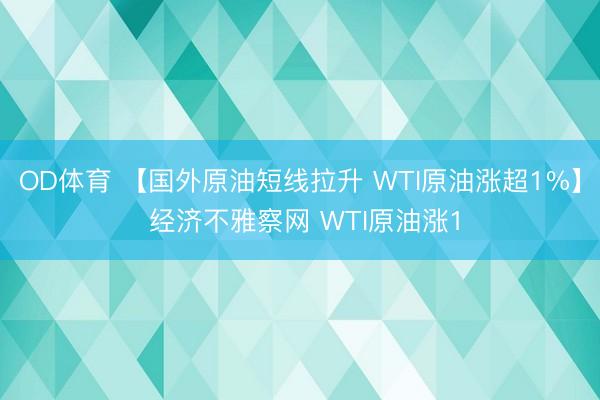 OD体育 【国外原油短线拉升 WTI原油涨超1%】 经济不雅察网 WTI原油涨1