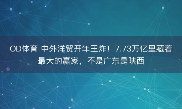 OD体育 中外洋贸开年王炸！7.73万亿里藏着最大的赢家，不是广东是陕西