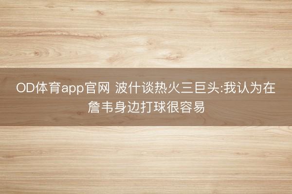 OD体育app官网 波什谈热火三巨头:我认为在詹韦身边打球很容易