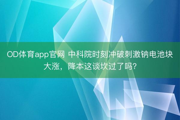 OD体育app官网 中科院时刻冲破刺激钠电池块大涨，降本这谈坎过了吗？