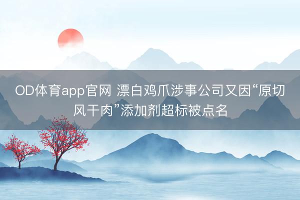 OD体育app官网 漂白鸡爪涉事公司又因“原切风干肉”添加剂超标被点名