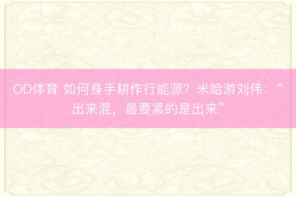 OD体育 如何身手耕作行能源？米哈游刘伟：“出来混，最要紧的是出来”
