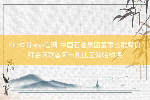 OD体育app官网 中国石油集团董事长戴厚良拜会阿联酋阿布扎比王储哈树德