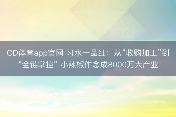 OD体育app官网 习水一品红：从“收购加工”到“全链掌控” 小辣椒作念成8000万大产业