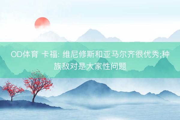 OD体育 卡福: 维尼修斯和亚马尔齐很优秀;种族敌对是大家性问题