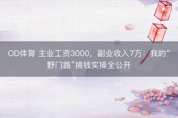 OD体育 主业工资3000，副业收入7万：我的“野门路”搞钱实操全公开