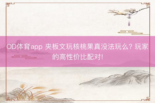OD体育app 夹板文玩核桃果真没法玩么? 玩家的高性价比配对!