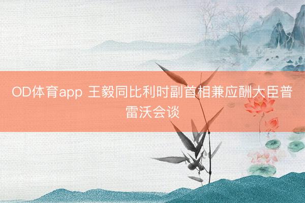 OD体育app 王毅同比利时副首相兼应酬大臣普雷沃会谈