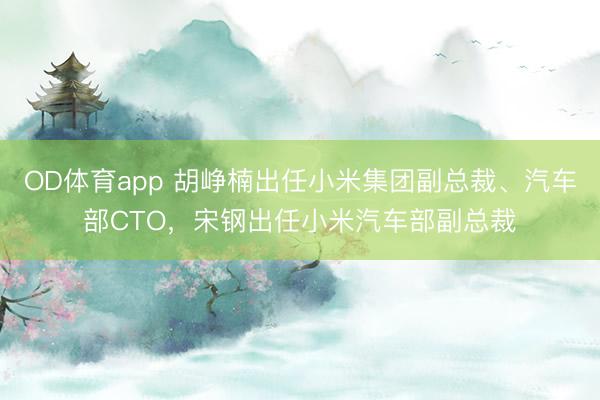 OD体育app 胡峥楠出任小米集团副总裁、汽车部CTO，宋钢出任小米汽车部副总裁