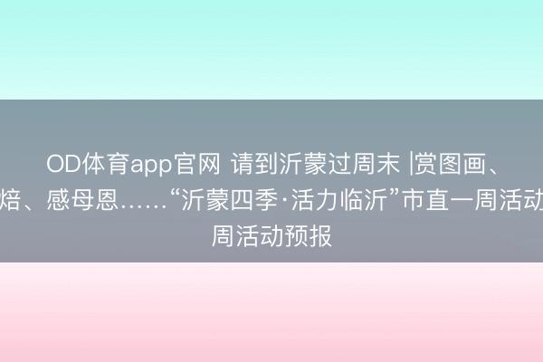 OD体育app官网 请到沂蒙过周末 |赏图画、品烘焙、感母恩……“沂蒙四季·活力临沂”市直一周活动预报