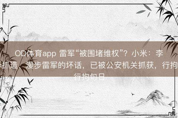 OD体育app 雷军“被围堵维权”？小米：李某华抓造、漫步雷军的坏话，已被公安机关抓获，行拘旬日