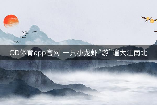 OD体育app官网 一只小龙虾“游”遍大江南北