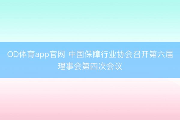 OD体育app官网 中国保障行业协会召开第六届理事会第四次会议