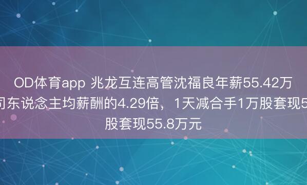 OD体育app 兆龙互连高管沈福良年薪55.42万元是公司东说念主均薪酬的4.29倍，1天减合手1万股套现55.8万元