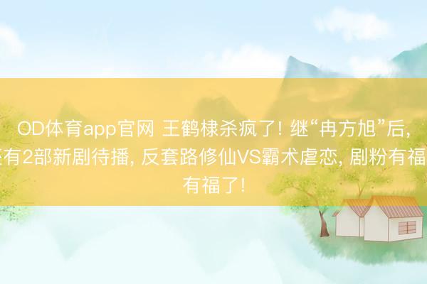 OD体育app官网 王鹤棣杀疯了! 继“冉方旭”后， 还有2部新剧待播， 反套路修仙VS霸术虐恋， 剧粉有福了!