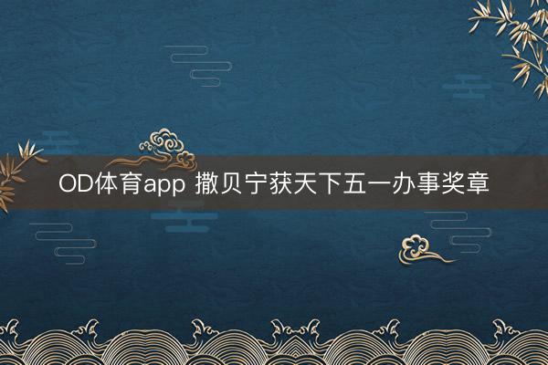 OD体育app 撒贝宁获天下五一办事奖章