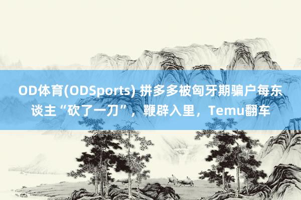 OD体育(ODSports) 拼多多被匈牙期骗户每东谈主“砍了一刀”，鞭辟入里，Temu翻车
