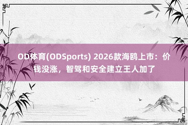 OD体育(ODSports) 2026款海鸥上市：价钱没涨，智驾和安全建立王人加了