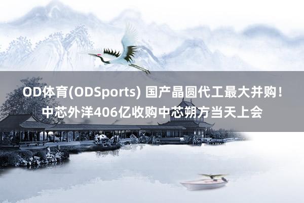 OD体育(ODSports) 国产晶圆代工最大并购!中芯外洋406亿收购中芯朔方当天上会