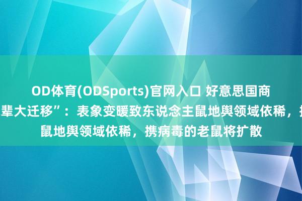 OD体育(ODSports)官网入口 好意思国商榷掂量南好意思“鼠辈大迁移”：表象变暖致东说念主鼠地舆领域依稀，携病毒的老鼠将扩散