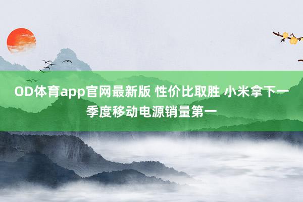 OD体育app官网最新版 性价比取胜 小米拿下一季度移动电源销量第一