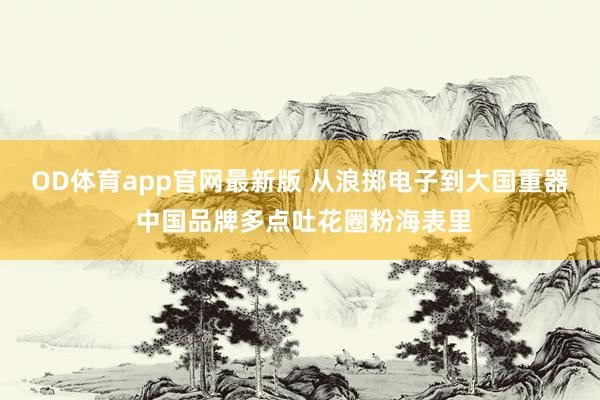 OD体育app官网最新版 从浪掷电子到大国重器 中国品牌多点吐花圈粉海表里