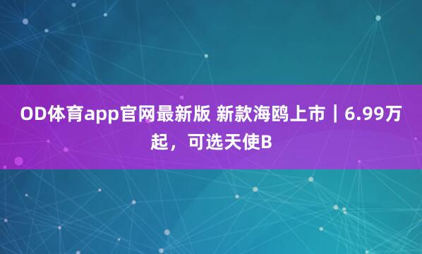 OD体育app官网最新版 新款海鸥上市|6.99万起,可选天使B