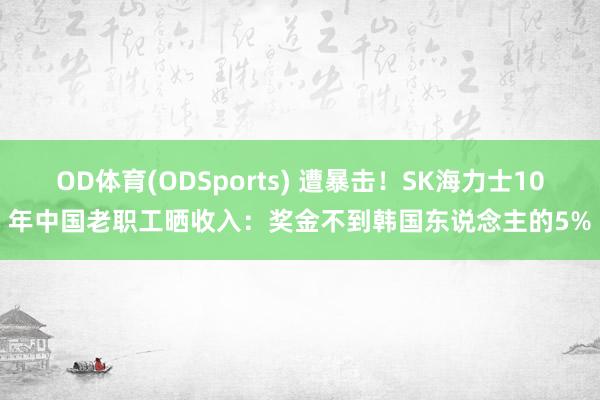 OD体育(ODSports) 遭暴击！SK海力士10年中国老职工晒收入：奖金不到韩国东说念主的5%