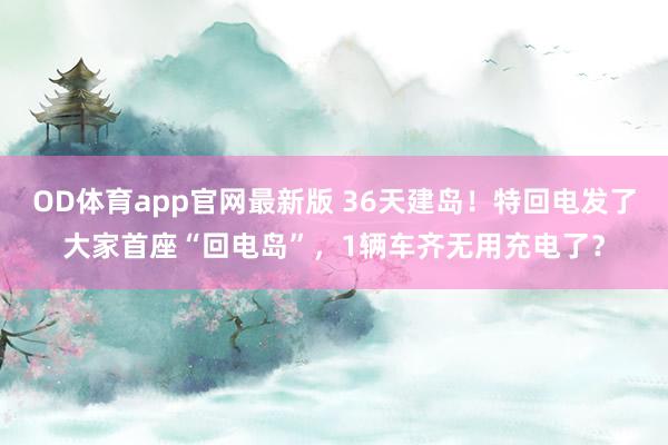 OD体育app官网最新版 36天建岛!特回电发了大家首座“回电岛”,1辆车齐无用充电了?