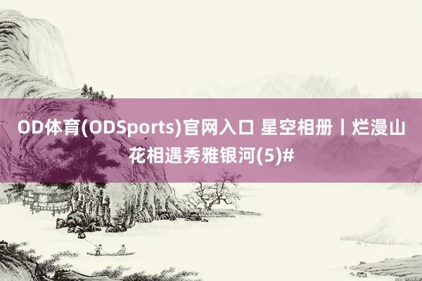 OD体育(ODSports)官网入口 星空相册丨烂漫山花相遇秀雅银河(5)#