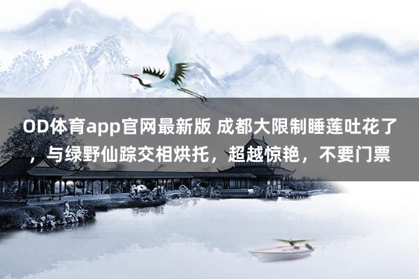 OD体育app官网最新版 成都大限制睡莲吐花了，与绿野仙踪交相烘托，超越惊艳，不要门票