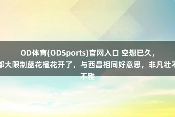 OD体育(ODSports)官网入口 空想已久，成都大限制蓝花楹花开了，与西昌相同好意思，非凡壮不雅