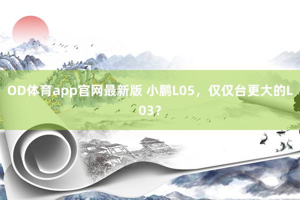OD体育app官网最新版 小鹏L05，仅仅台更大的L03？