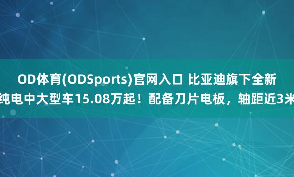 OD体育(ODSports)官网入口 比亚迪旗下全新纯电中大型车15.08万起！配备刀片电板，轴距近3米