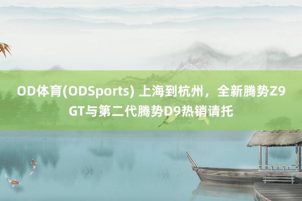 OD体育(ODSports) 上海到杭州，全新腾势Z9GT与第二代腾势D9热销请托