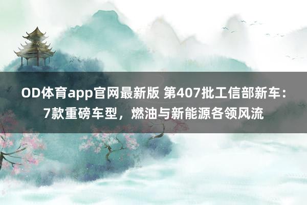 OD体育app官网最新版 第407批工信部新车：7款重磅车型，燃油与新能源各领风流