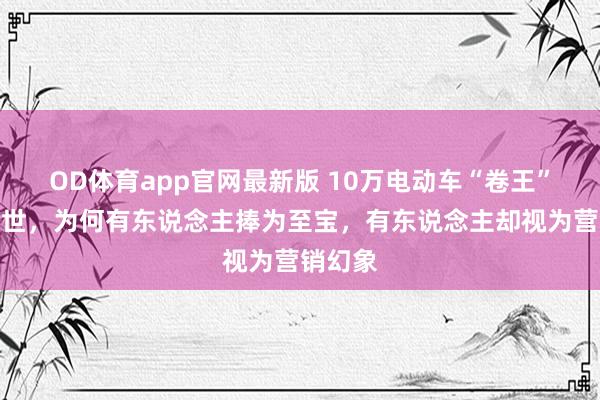 OD体育app官网最新版 10万电动车“卷王”横空出世，为何有东说念主捧为至宝，有东说念主却视为营销幻象