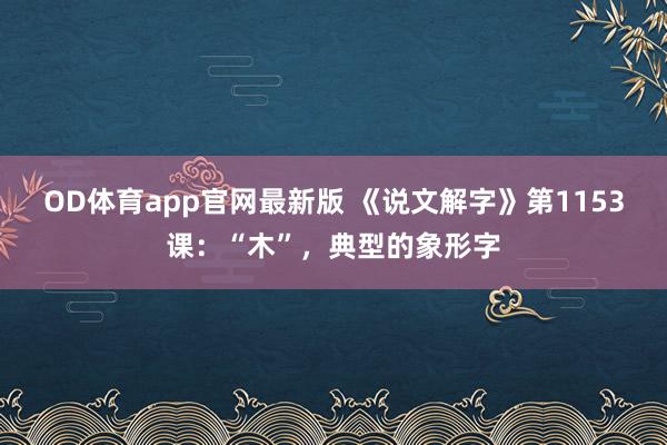 OD体育app官网最新版 《说文解字》第1153课：“木”，典型的象形字