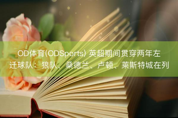 OD体育(ODSports) 英超期间贯穿两年左迁球队：狼队、桑德兰、卢顿、莱斯特城在列