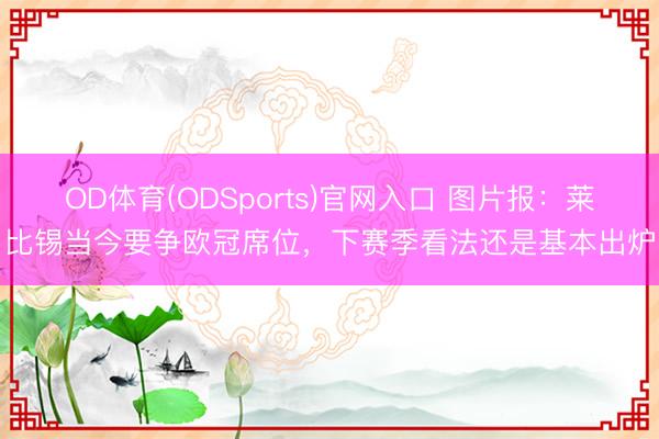 OD体育(ODSports)官网入口 图片报:莱比锡当今要争欧冠席位,下赛季看法还是基本出炉
