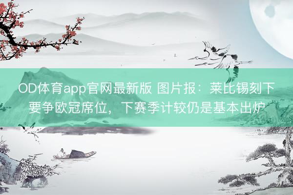 OD体育app官网最新版 图片报：莱比锡刻下要争欧冠席位，下赛季计较仍是基本出炉