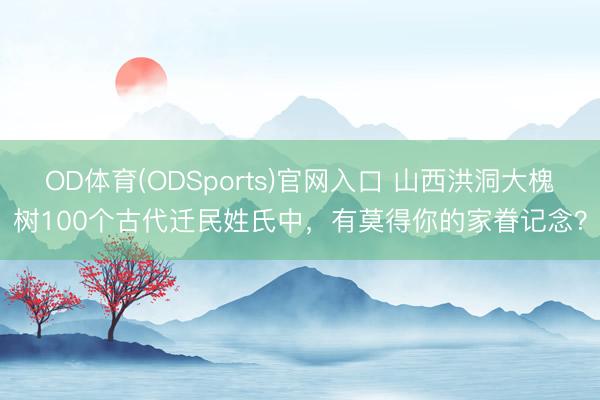 OD体育(ODSports)官网入口 山西洪洞大槐树100个古代迁民姓氏中，有莫得你的家眷记念？