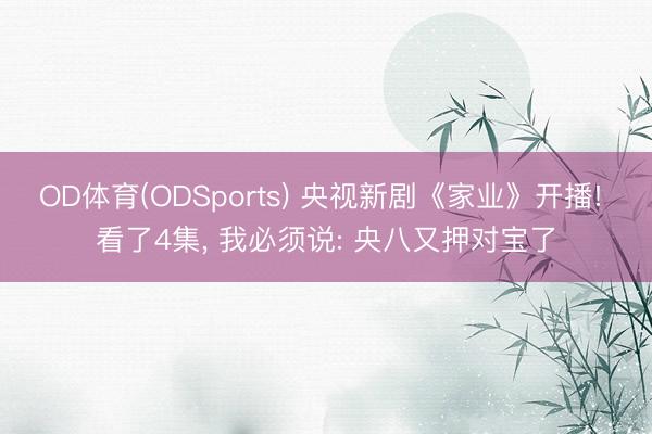 OD体育(ODSports) 央视新剧《家业》开播! 看了4集, 我必须说: 央八又押对宝了