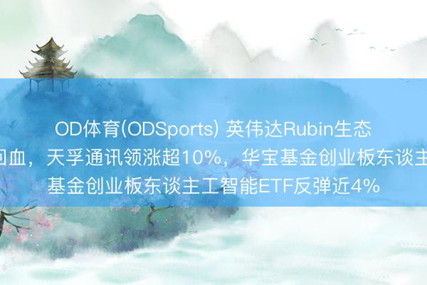 OD体育(ODSports) 英伟达Rubin生态圈爆发!光模块强势回血,天孚通讯领涨超10%,华宝基金创业板东谈主工智能ETF反弹近4%