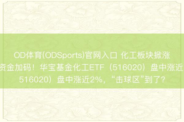 OD体育(ODSports)官网入口 化工板块掀涨停潮，超170亿主力资金加码！华宝基金化工ETF（516020）盘中涨近2%，“击球区”到了？