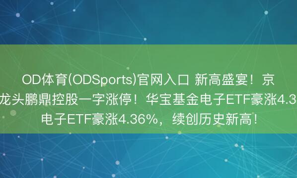 OD体育(ODSports)官网入口 新高盛宴！京东方A二连板，PCB龙头鹏鼎控股一字涨停！华宝基金电子ETF豪涨4.36%，续创历史新高！